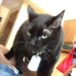 Meet your Posher, Tyler